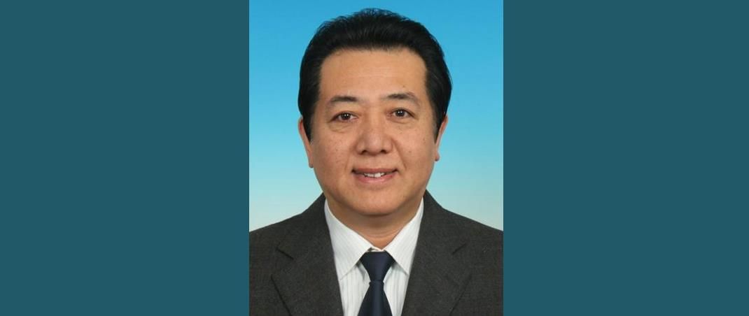 北京市公安局一级警务专员王新元被双开