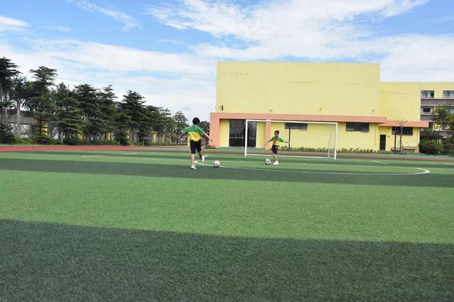 西区广丰小学:盎然绿意流淌校园