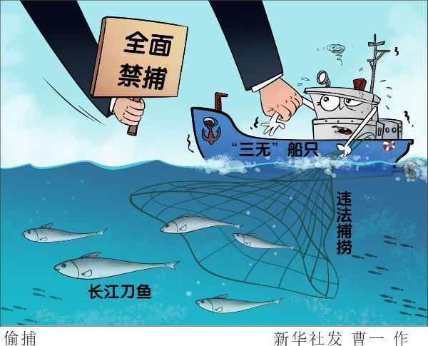 十年禁渔第一年 鱼儿回来了