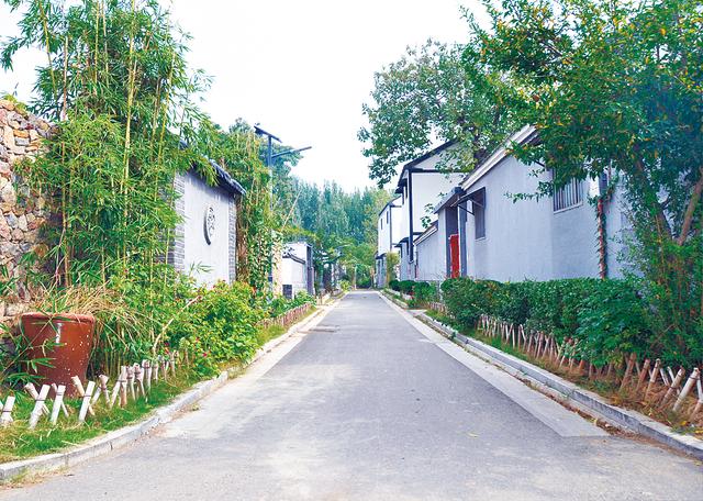 江南·百镇|江庄:四种方法打开美丽乡村新画卷