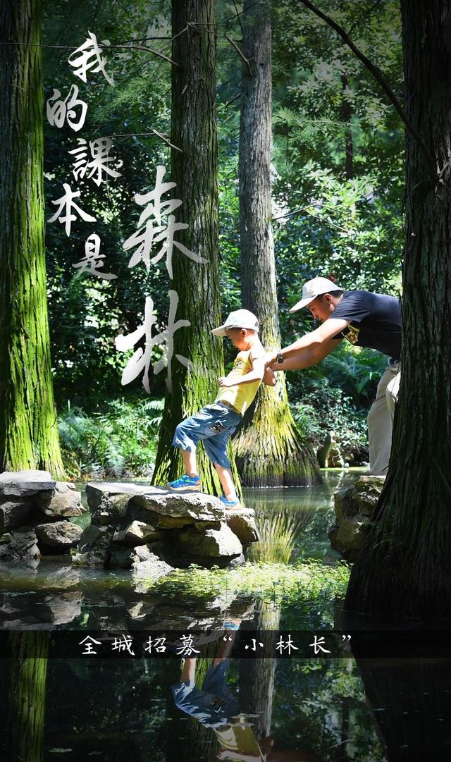 赶快来当"小林长"吧!武汉市青少年森林研学系列活动开启