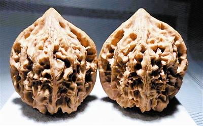 老树结的鸡心核桃较稀缺