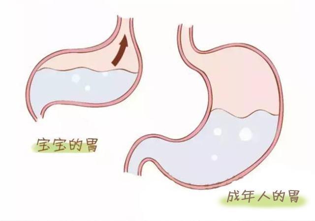 「你的育儿经」宝宝溢奶、吐奶的区别，妈妈要分清，不然宝宝遭罪