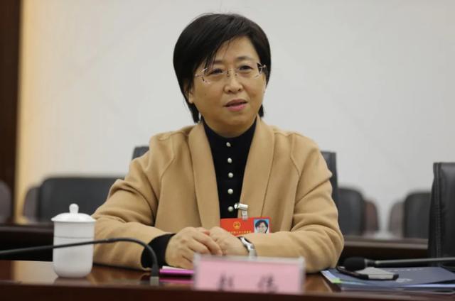 赵伟代表:建议尽快出台扶持高端装备国产化替代的增值税政策