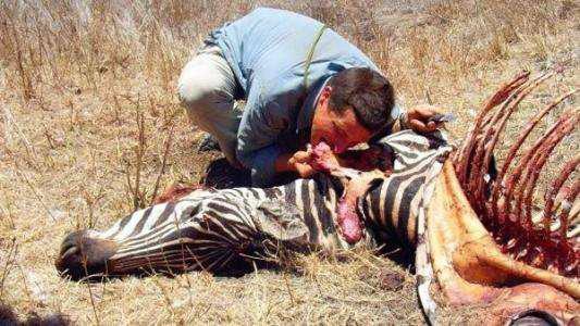 目的是为了展现贝爷的布设陷阱,制服野猪的求生技能