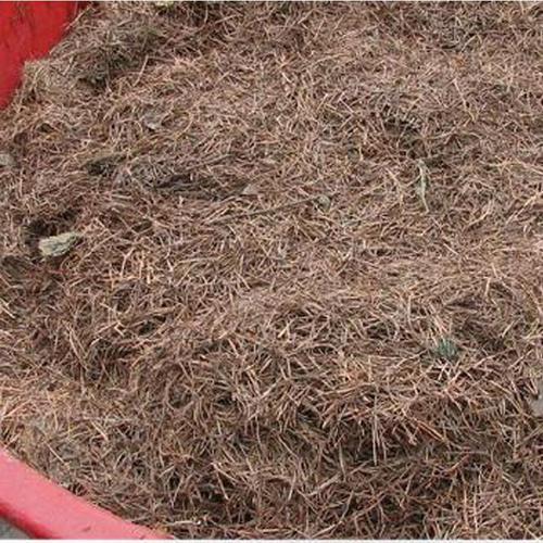 养花太碱?抓把"垃圾草"自制腐叶土,比硫酸亚铁都酸,养花真棒