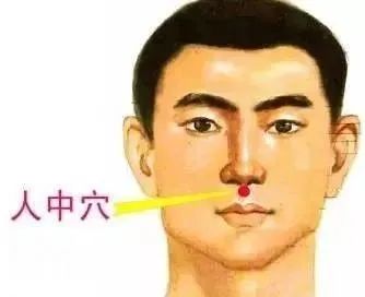 全身穴位图分解图示大全,看图就能对照找穴位(收藏篇)