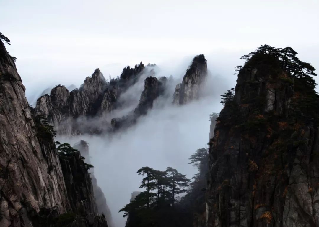黄山又一次震惊全国!恍如人间仙境,美到极致!
