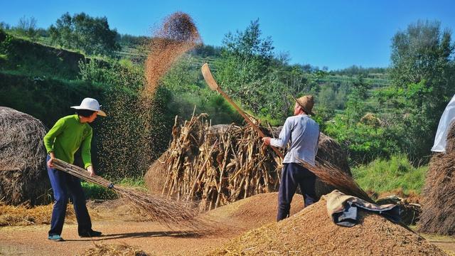 勤劳朴实的农民为国家的发展做出了不可磨灭的贡献