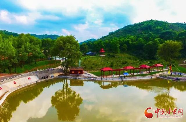 飘扬风帆劲——记"全省标准化先进党支部"崇信县新窑镇西刘村党支部