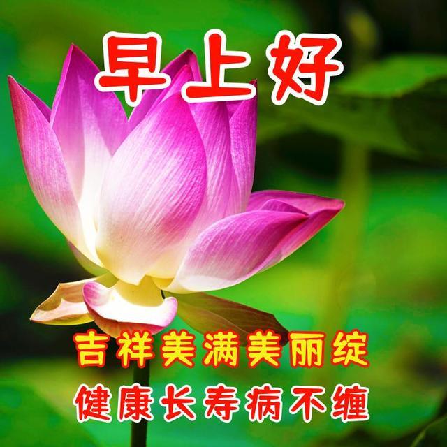 早上好祝福問候語圖片,祝你快樂美麗守身邊,健康無恙祥瑞現