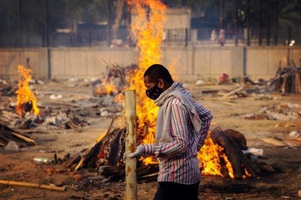 柴火不够用,印度新冠病人尸体烧不干净,残骸被野狗叼着到处跑
