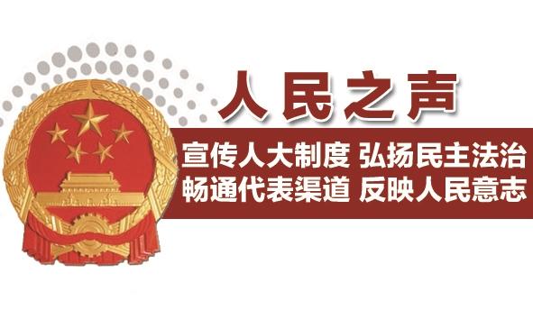 "改革等26项重点工作开展了专题调研视察和执法检査,听取和审议"一府