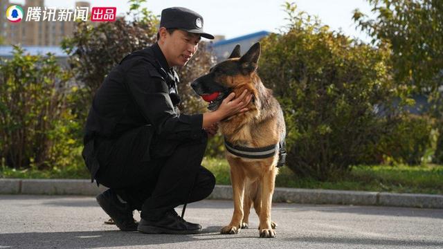 警犬微紀錄片了不起的它上線用紀錄致敬無言衛士