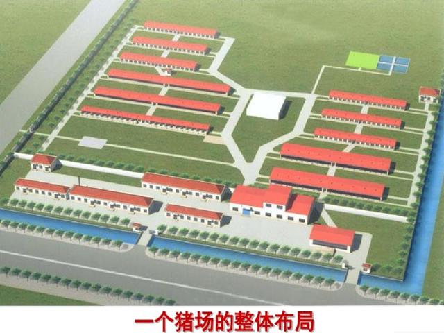 場址選擇 豬場場址的選擇設計到建場的面積,地勢,水源,防疫,交通,電源