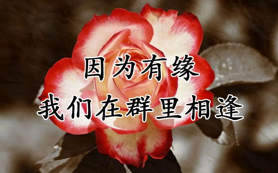 致群主有群的都看一下吧