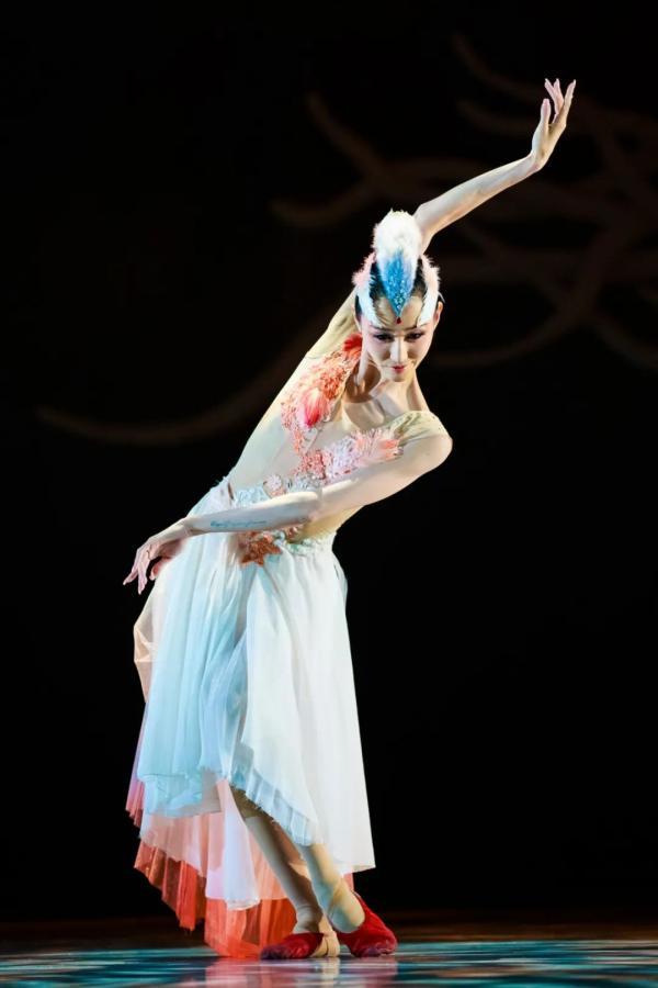 为上海大剧院22周岁庆生,《朱鹮》诗情画意暗自鸣