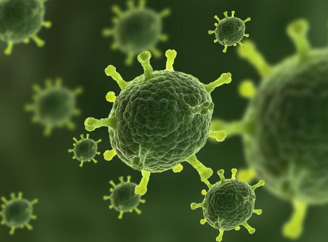 健康学堂@人体的免疫系统——强大又脆弱的防卫系统！我们该如何增强免疫力