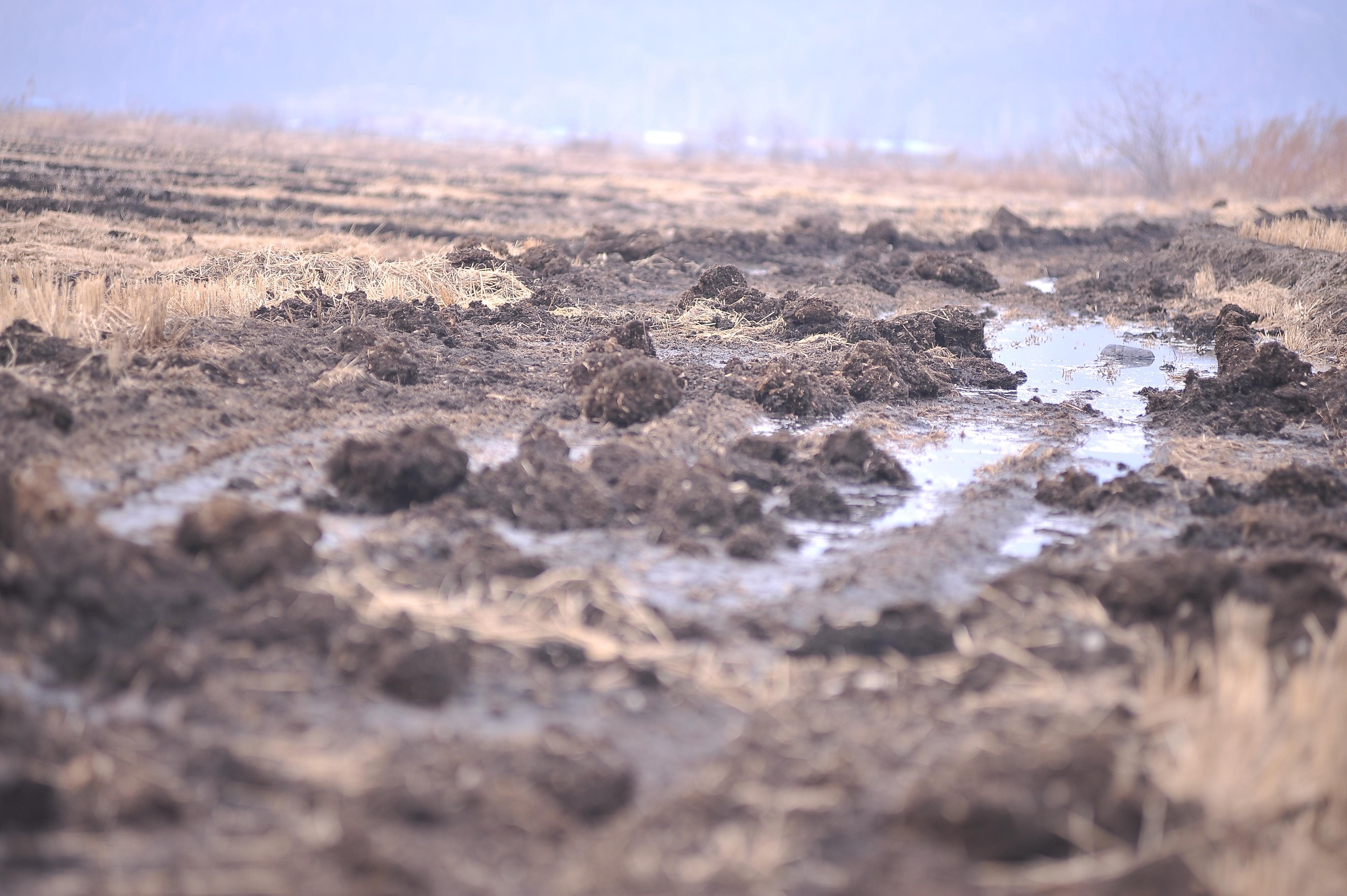 探访五常市农田盗采草炭土现场
