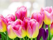 In times of scarcity, true friends appear; in times of hardship, the closest relationships offer the most support.