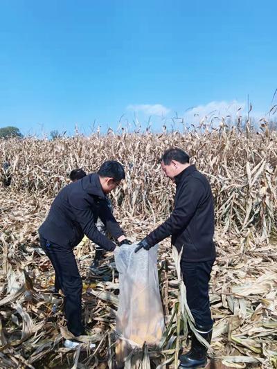 在得知该村的受灾情况后,武乡农行党委书记,行长刘晋军带队下沉到故