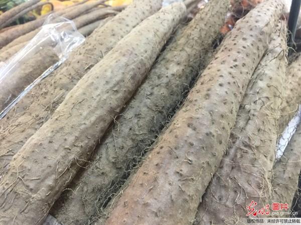 光明网:春天气温多变,多给孩子吃“开胃菜”,促消化,还提高免疫力