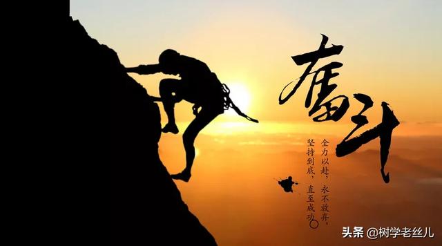 的老师曾经连正眼都没看过你一眼的那些所谓优等生都可以骄傲的扬起头