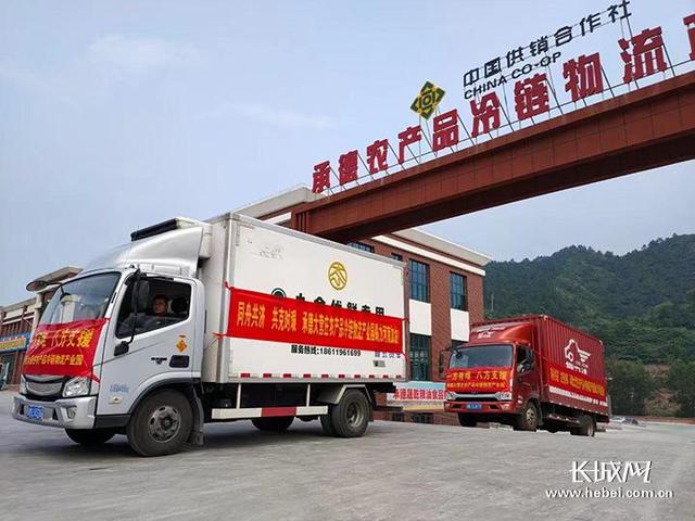 商贸行业的风向标：探究商贸有限公司的角色与价值