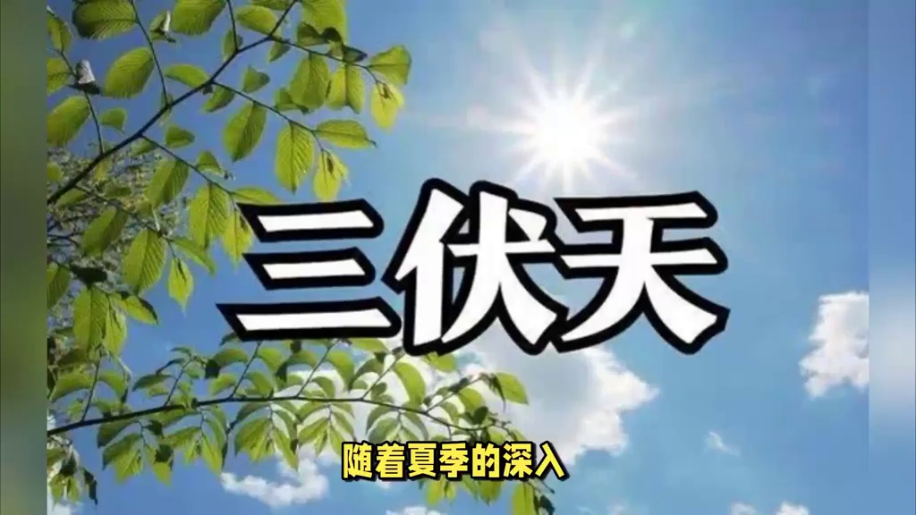 2024年三伏天时间表已出炉:今年三伏天哪天入伏,哪天出伏?