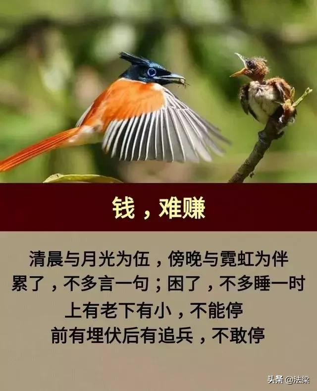 不苦不累,人生无味;不拼不搏,人生白活