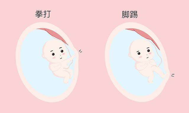 胎宝宝每天在肚子里做什么?原来他的活动这么丰富