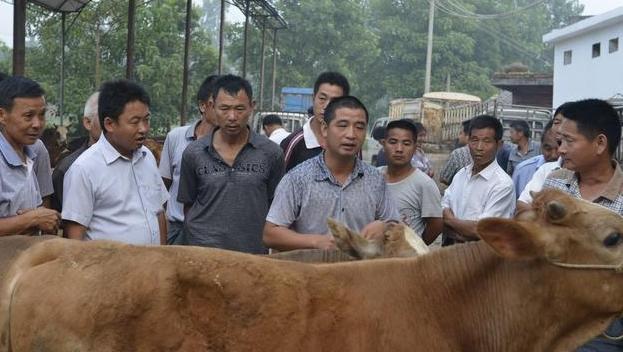 老父病危,三儿子平分家产,养女只得了个旧本子却成了村里的首富