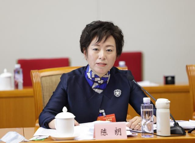 陈朗代表就加强公益性幼儿园,基层公立医院等民生设施建设话题发言.