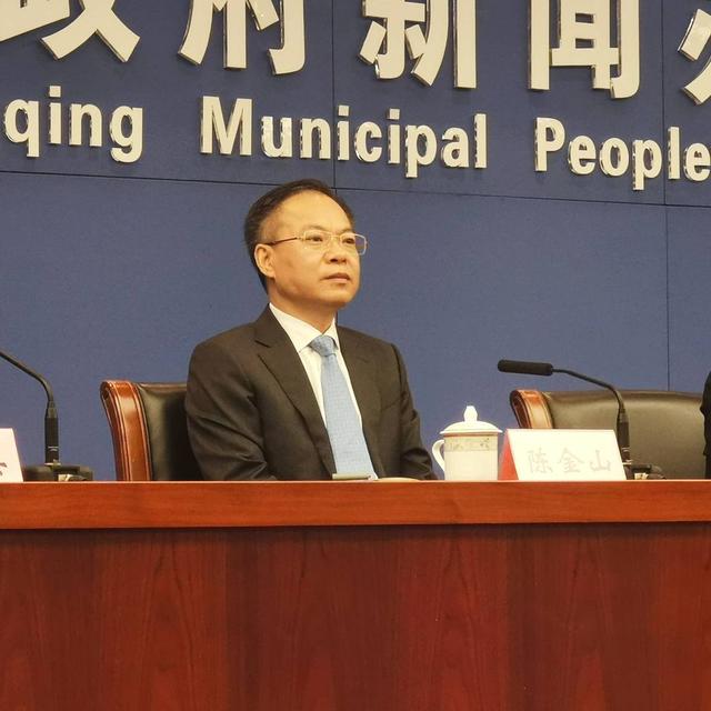 重庆市副市长,市经济信息委主任陈金山.