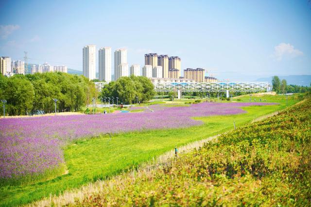 西安:灞河左岸生态公园国庆正式对外开放