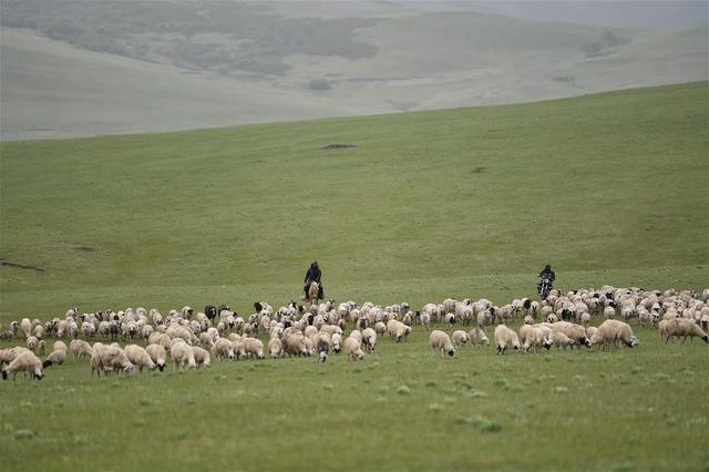 6月3日,牧民在阿鲁科尔沁草原上放牧.新华社记者 刘磊 摄