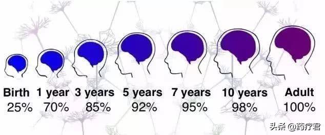 有研究发现,人类的大脑,在胎儿3个月的时候到产后6个月左右,大脑基本