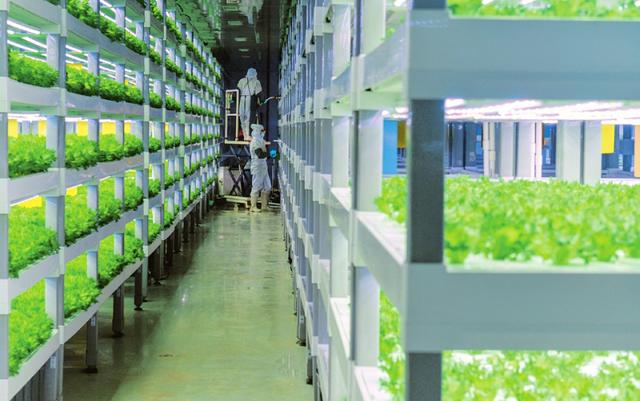 奔跑吧,山西!向着乡村振兴