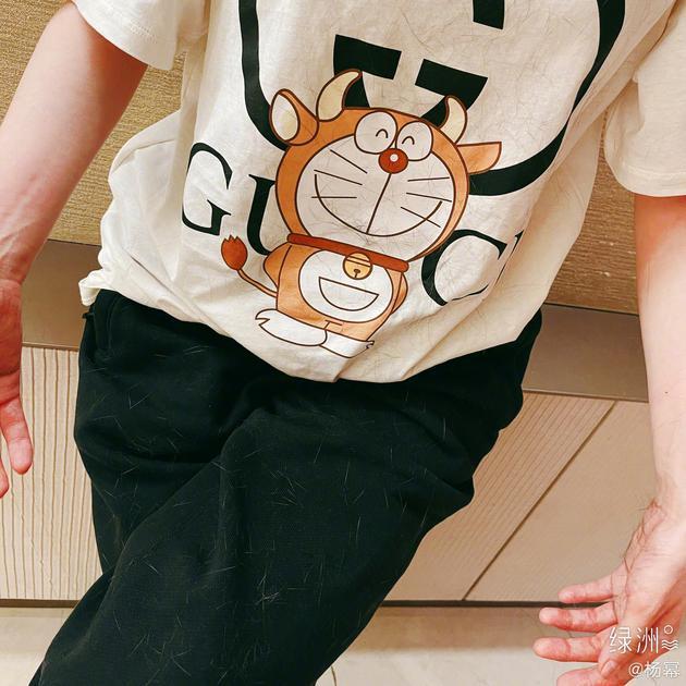 杨幂大年初一晒抱猫照 满身猫毛一脸无奈