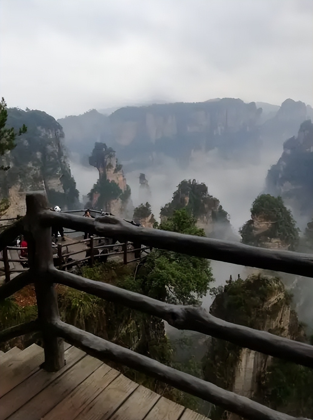 张家界跳崖事件刚过,四川林场又发现3具尸体,深扒细节细思极恐