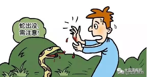 龙岩一阿婆被剧毒眼睛王蛇"下毒口"后心脏骤停