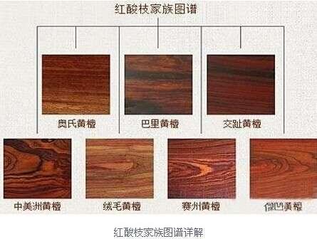在红木行业内,"一字之差"木材的种类就如云泥之别.