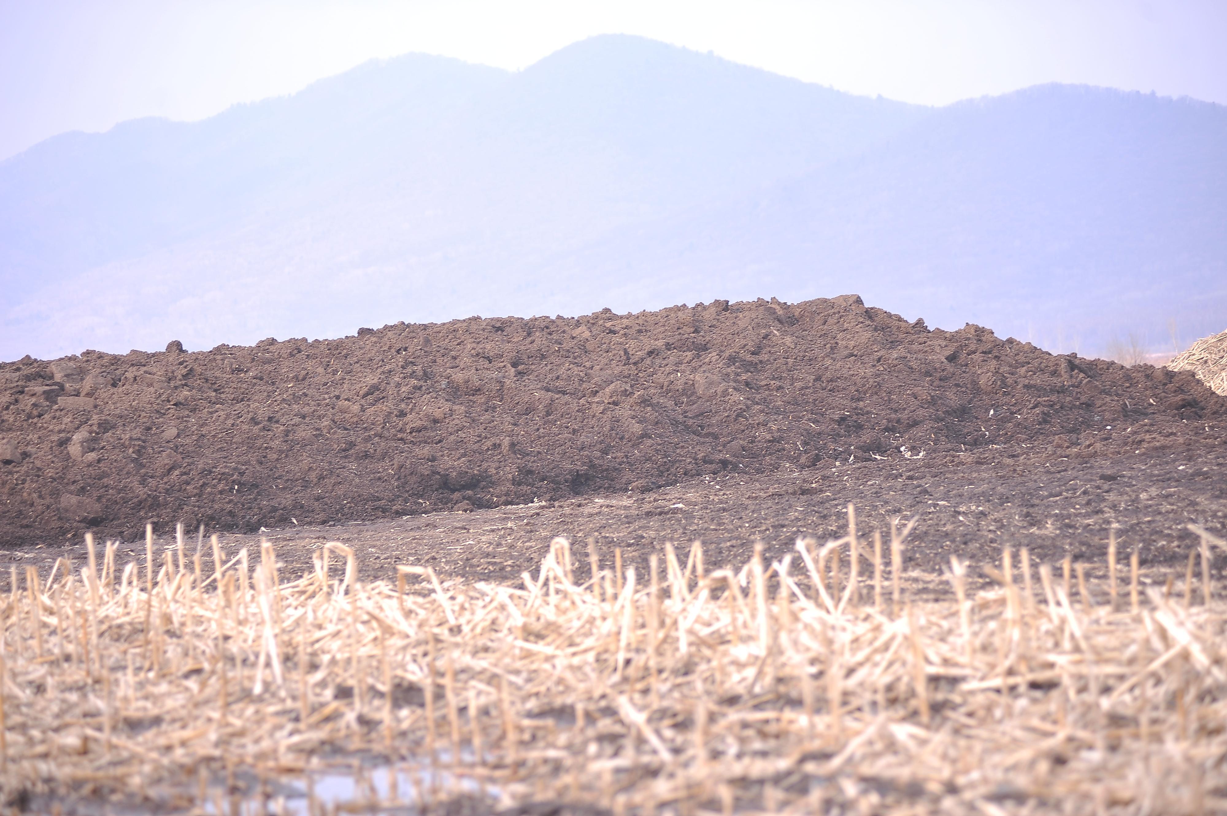 探访五常市农田盗采草炭土现场
