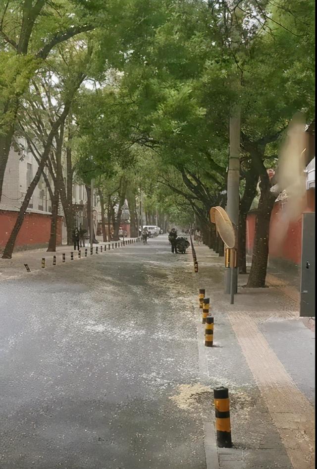 风来了!北京城区已现风沙 北京大风连刮三天 原因为何?