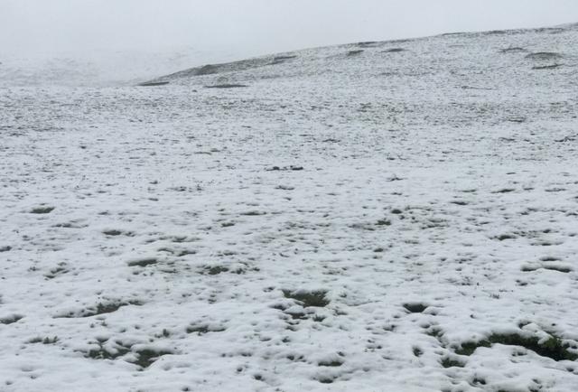 白茫茫一片!今天青海这里下雪了