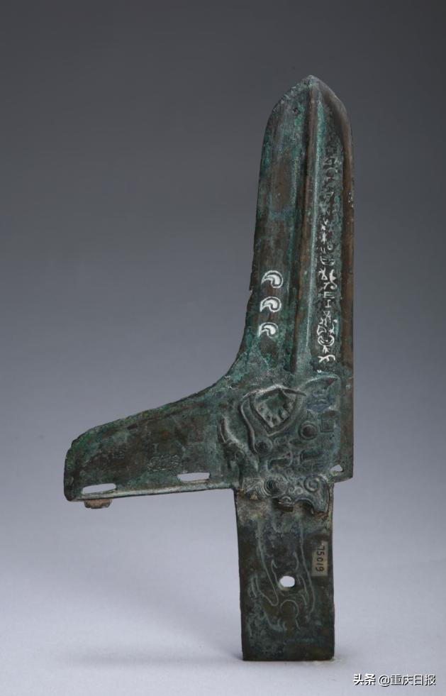 神秘的巴国|策展人说:376件(套)文物带你探寻远古的神秘