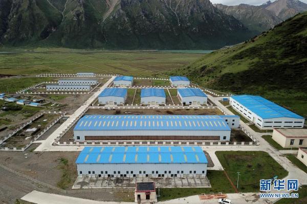 肉养殖基地 肉兔养殖基地