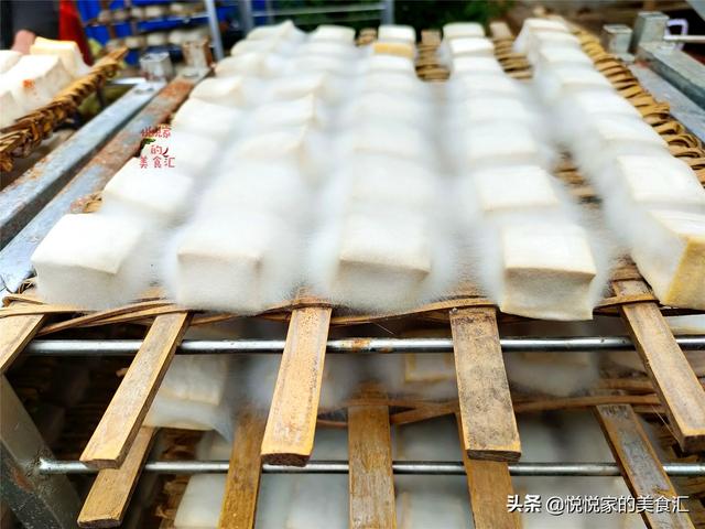 豆腐乳的制作过程图片
