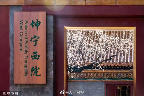 微博截图 编辑:王晶晶 栏目主编:顾万全 张武 文字编辑:曹飞  来源