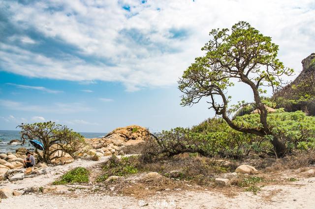 「趣旅游」中国第一度假城市,位于海南,大量俄罗斯人在这里生活